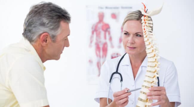 spine