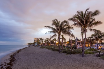 Dania beach